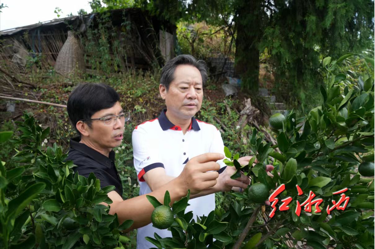 66dfbe641ed7e BG视讯·大游(集团)官方网站