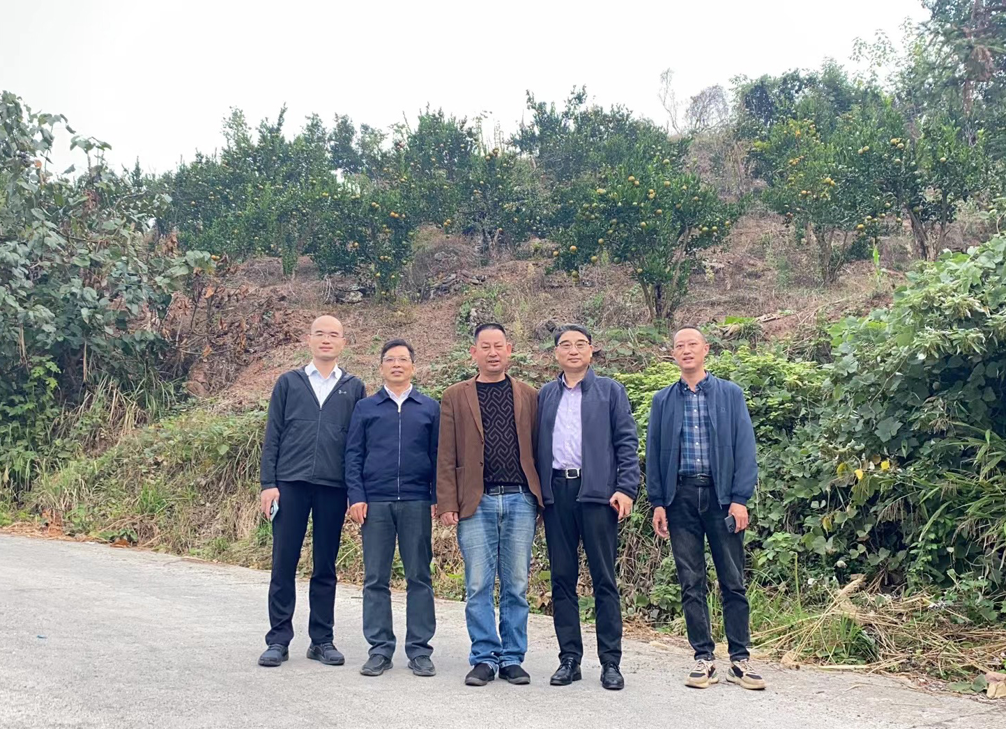 BG视讯·大游(集团)官方网站